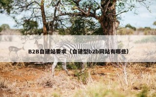 B2B自建站要求（自建型b2b网站有哪些）