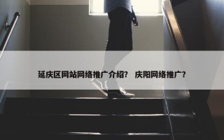 延庆区网站网络推广介绍？ 庆阳网络推广？