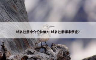 域名注册中介价位低？ 域名注册哪家便宜？