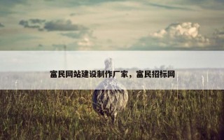 富民网站建设制作厂家，富民招标网