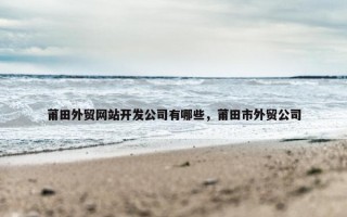 莆田外贸网站开发公司有哪些，莆田市外贸公司