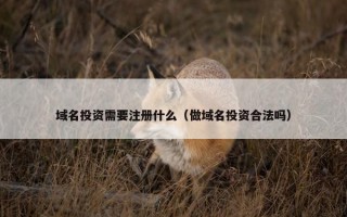 域名投资需要注册什么（做域名投资合法吗）