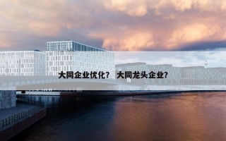 大同企业优化？ 大同龙头企业？