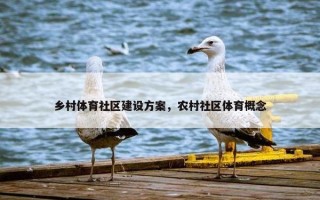 乡村体育社区建设方案，农村社区体育概念