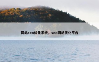网站seo优化系统，seo网站优化平台