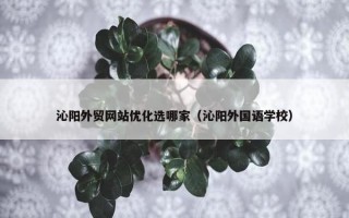 沁阳外贸网站优化选哪家（沁阳外国语学校）