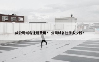 成公司域名注册费用？ 公司域名注册多少钱？