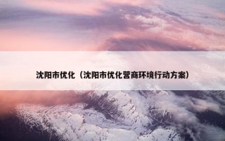 沈阳市优化（沈阳市优化营商环境行动方案）