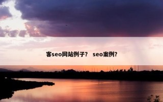 客seo网站例子？ seo案例？