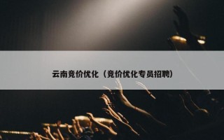 云南竞价优化（竞价优化专员招聘）