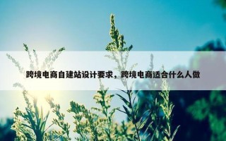 跨境电商自建站设计要求，跨境电商适合什么人做