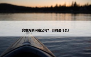 安徽万购网络公司？ 万购是什么？