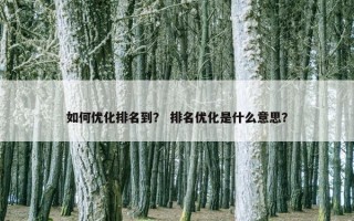 如何优化排名到？ 排名优化是什么意思？