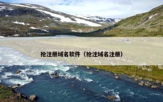 抢注册域名软件（抢注域名注册）