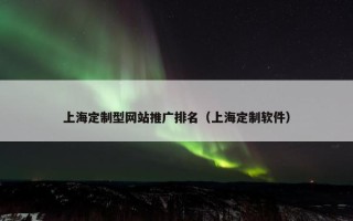 上海定制型网站推广排名（上海定制软件）