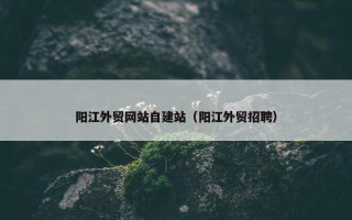 阳江外贸网站自建站（阳江外贸招聘）
