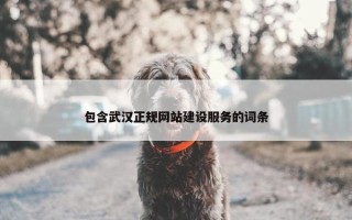 包含武汉正规网站建设服务的词条