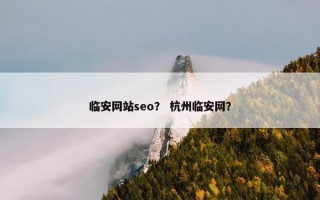 临安网站seo？ 杭州临安网？