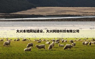 大兴本地网站建设，大兴网络科技有限公司