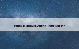 跨境电商自建站成功案例？ 跨境 自建站？
