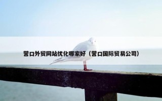 营口外贸网站优化哪家好（营口国际贸易公司）