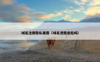 域名注册隐私暴露（域名泄露危险吗）