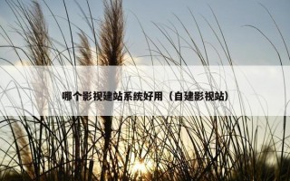 哪个影视建站系统好用（自建影视站）