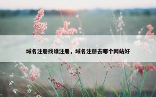 域名注册找谁注册，域名注册去哪个网站好