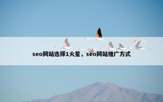 seo网站选择1火星，seo网站推广方式