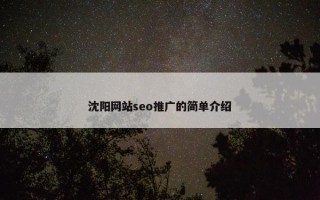 沈阳网站seo推广的简单介绍