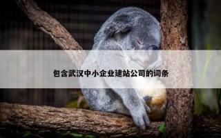 包含武汉中小企业建站公司的词条