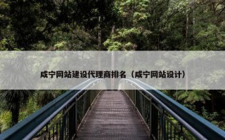 咸宁网站建设代理商排名（咸宁网站设计）