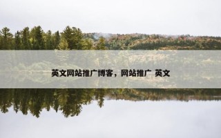 英文网站推广博客，网站推广 英文