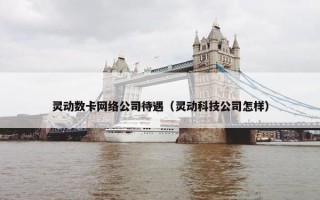 灵动数卡网络公司待遇（灵动科技公司怎样）