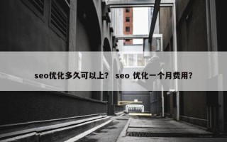 seo优化多久可以上？ seo 优化一个月费用？