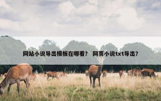 网站小说导出模板在哪看？ 网页小说txt导出？