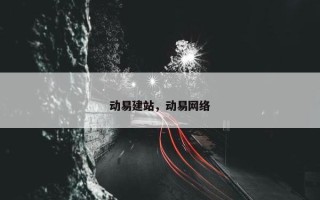 动易建站，动易网络