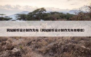 网站解析设计制作方向（网站解析设计制作方向有哪些）
