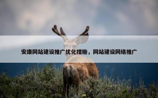 安康网站建设推广优化措施，网站建设网络推广
