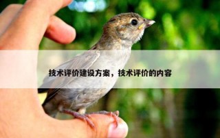 技术评价建设方案，技术评价的内容