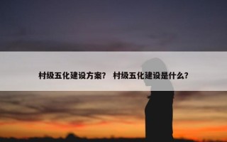 村级五化建设方案？ 村级五化建设是什么？