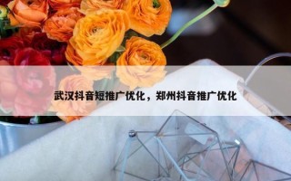 武汉抖音短推广优化，郑州抖音推广优化