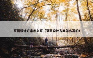 页面设计方案怎么写（页面设计方案怎么写的）
