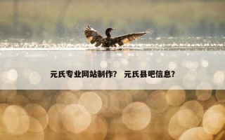 元氏专业网站制作？ 元氏县吧信息？
