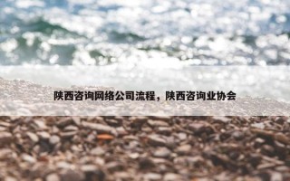 陕西咨询网络公司流程，陕西咨询业协会