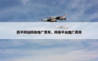 西平网站网络推广费用，网络平台推广费用