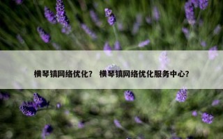 横琴镇网络优化？ 横琴镇网络优化服务中心？
