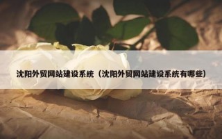 沈阳外贸网站建设系统（沈阳外贸网站建设系统有哪些）