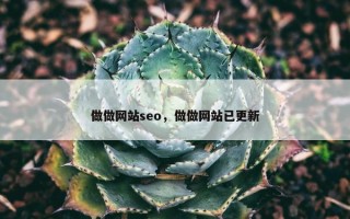 做做网站seo，做做网站已更新