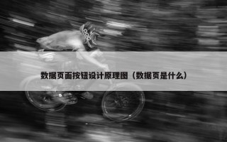 数据页面按钮设计原理图（数据页是什么）